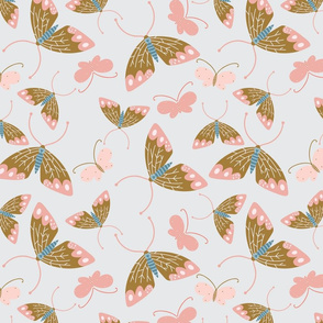 Moths and butterflies on a gray background
