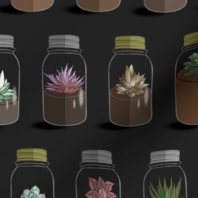 Tiny Terrariums (dark background)