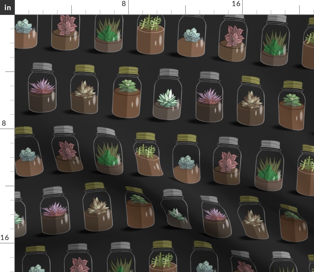 Tiny Terrariums (dark background)