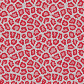 White Red Leopard Invert