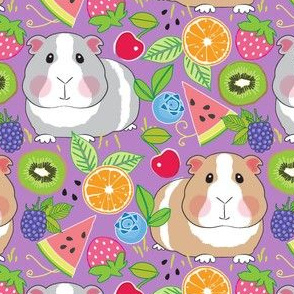 guinea pigs with a fruit salad
