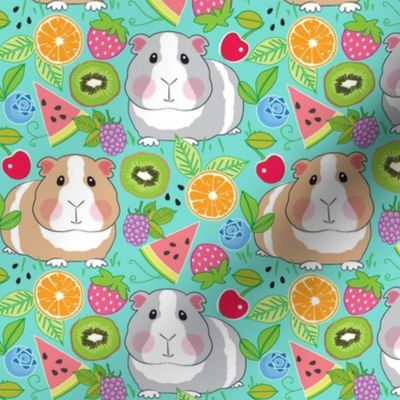 guinea pigs with fruit salad on teal