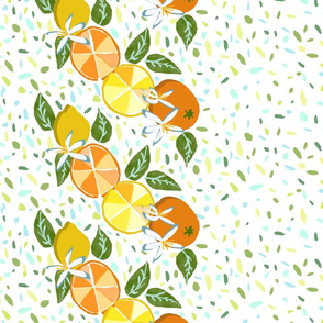 Citrus Fruit Border of Paper Cutouts on Terrazzo