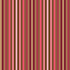 Raspberry Dk Chocolate_Stripes