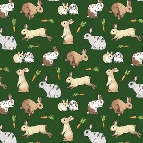 Rabbits on forest green