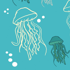 jellyfish