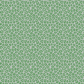 White Green Leopard Invert