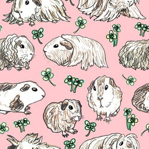 Guinea Pigs on Pink 