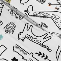 Coloring Book Zoo