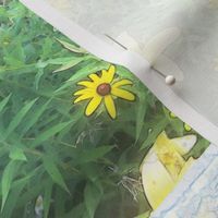 Black-eyed Susan and pink phlox 