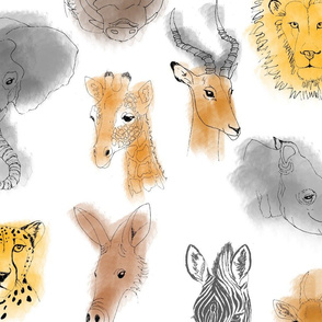 African Animal Portraits