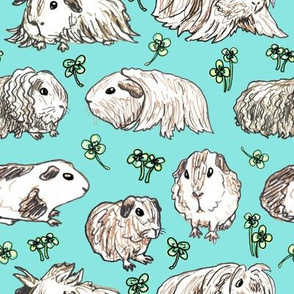 Guinea pigs on Blue