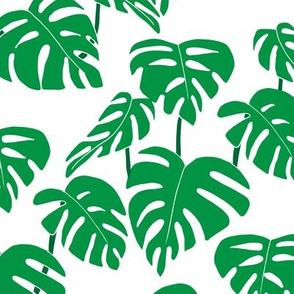 Animalier Co-ordinate Monstera Leaves