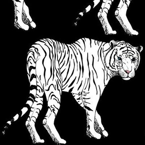 Animalier Co-ordinate White Tiger on Black