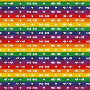 Rainbow flag stripes, LGBTQI Mr and Mr, small