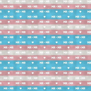 Transgender flag stripes, Mr and Mr, small