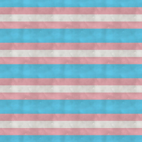 Transgender LGBTQI stripes, Medium