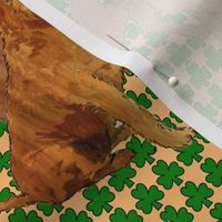 irish_terriers_with_shamrocks