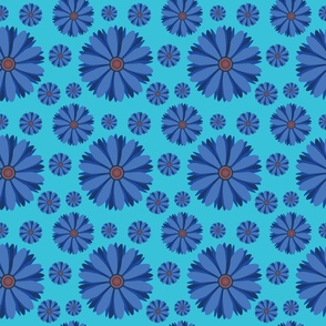 blue-daisy