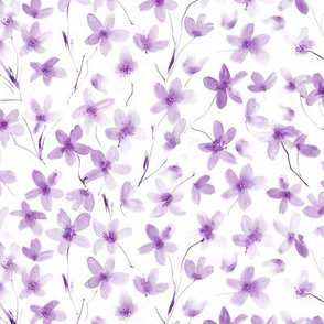 Amethyst dainty cherry blossom ★ watercolor florals for modern scandi home decor, nursery