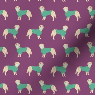 golden retriever in scrubs fabric - dogs in scrubs, vet, dentist, nurse fabric -purple