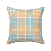 09953976 : tartan : spoonflower0546