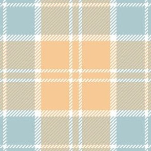 09953976 : tartan : spoonflower0546