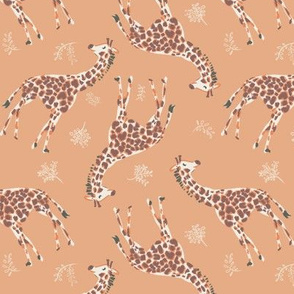 safari giraffe