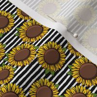 (small scale) Sunflowers - black stripes C20BS