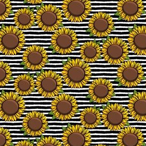 (small scale) Sunflowers - black stripes C20BS