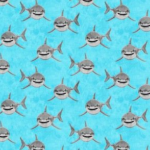 (small scale) Sharks on blue - great white sharks - C20BS