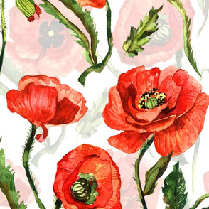 21" Poppies - Hand drawn watercolor poppies on white - double layer