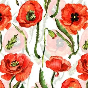 5" Poppies - Hand drawn watercolor poppies on white - double layer
