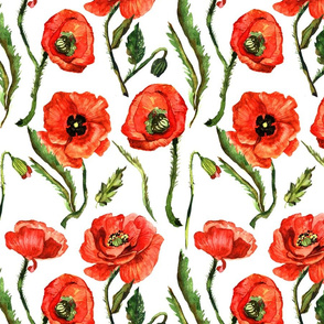 10" Poppies - Hand drawn watercolor poppies on white - single layer
