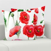 21" Pink And Red Poppies - Hand drawn watercolor poppies on white - single layer