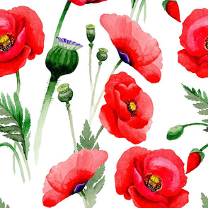 21" Pink And Red Poppies - Hand drawn watercolor poppies on white - single layer