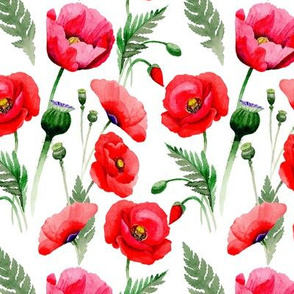 5” Pink And Red Poppies - Hand drawn watercolor poppies on white - single layer