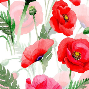 21" Pink And Red Poppies - Hand drawn watercolor poppies on white - double layer