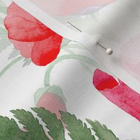 10" Pink And Red Poppies - Hand drawn watercolor poppies on white - double layer