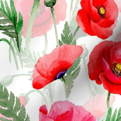 10" Pink And Red Poppies - Hand drawn watercolor poppies on white - double layer