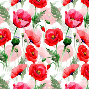 10" Pink And Red Poppies - Hand drawn watercolor poppies on white - double layer