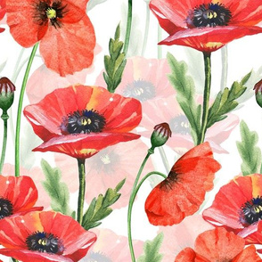 10" Pink And Red Poppies  - Hand drawn watercolor poppies on white - double layer