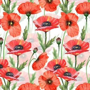 5" Pink And Red Poppies  - Hand drawn watercolor poppies on white - double layer