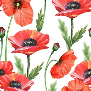 21" Pink And Red Poppies  - Hand drawn watercolor poppies on white - single layer