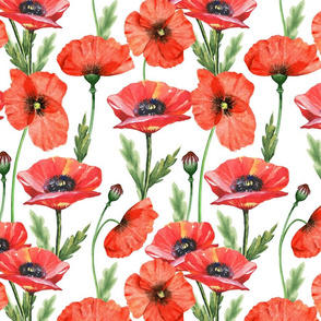 10" Pink And Red Poppies  - Hand drawn watercolor poppies on white - single layer