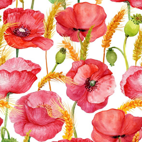 21" Pink And Red Poppies cornfield  - Hand drawn watercolor poppies on white - single layer