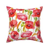 10" Pink And Red Poppies cornfield  - Hand drawn watercolor poppies on white - single layer
