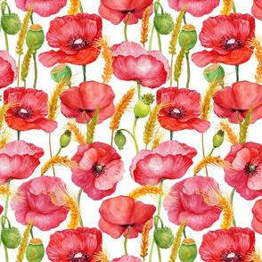 10" Pink And Red Poppies cornfield  - Hand drawn watercolor poppies on white - single layer