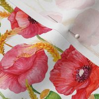 5" Pink And Red Poppies cornfield  - Hand drawn watercolor poppies on white - single layer