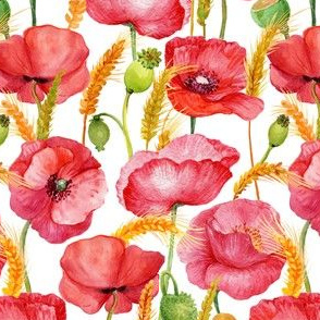 5" Pink And Red Poppies cornfield  - Hand drawn watercolor poppies on white - single layer